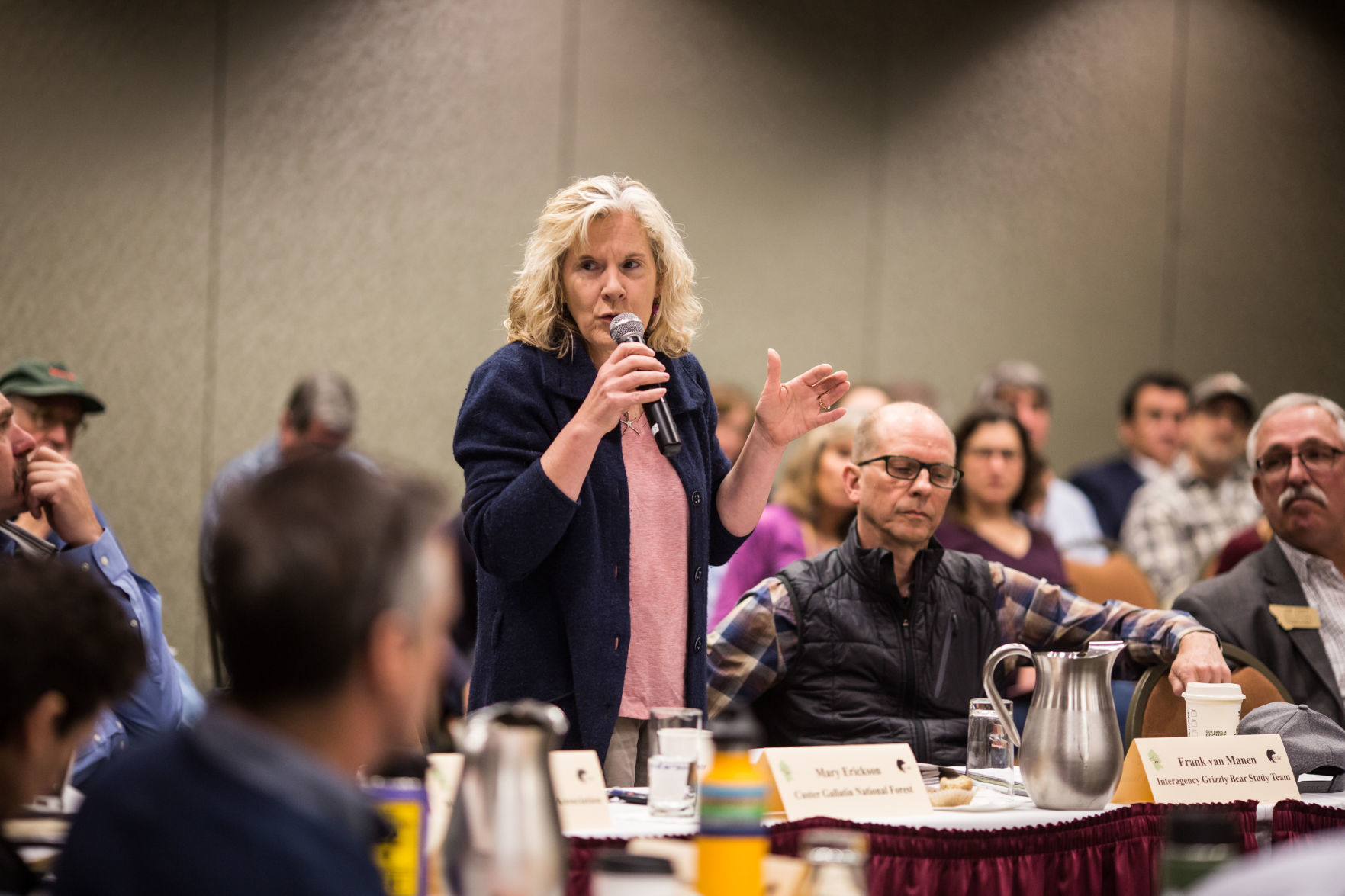 Yellowstone Ecosystem Subcommittee of the Interagency Grizzly Bear Committee Spring Meeting